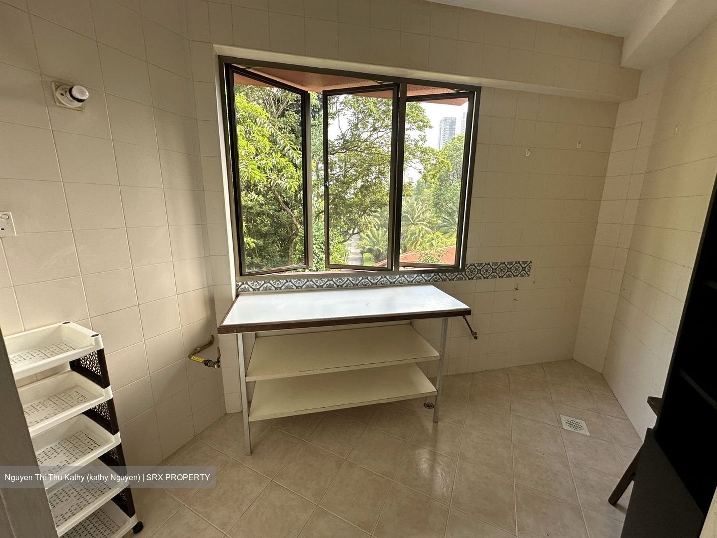 Balmoral Luck (D10), Condominium #599279801